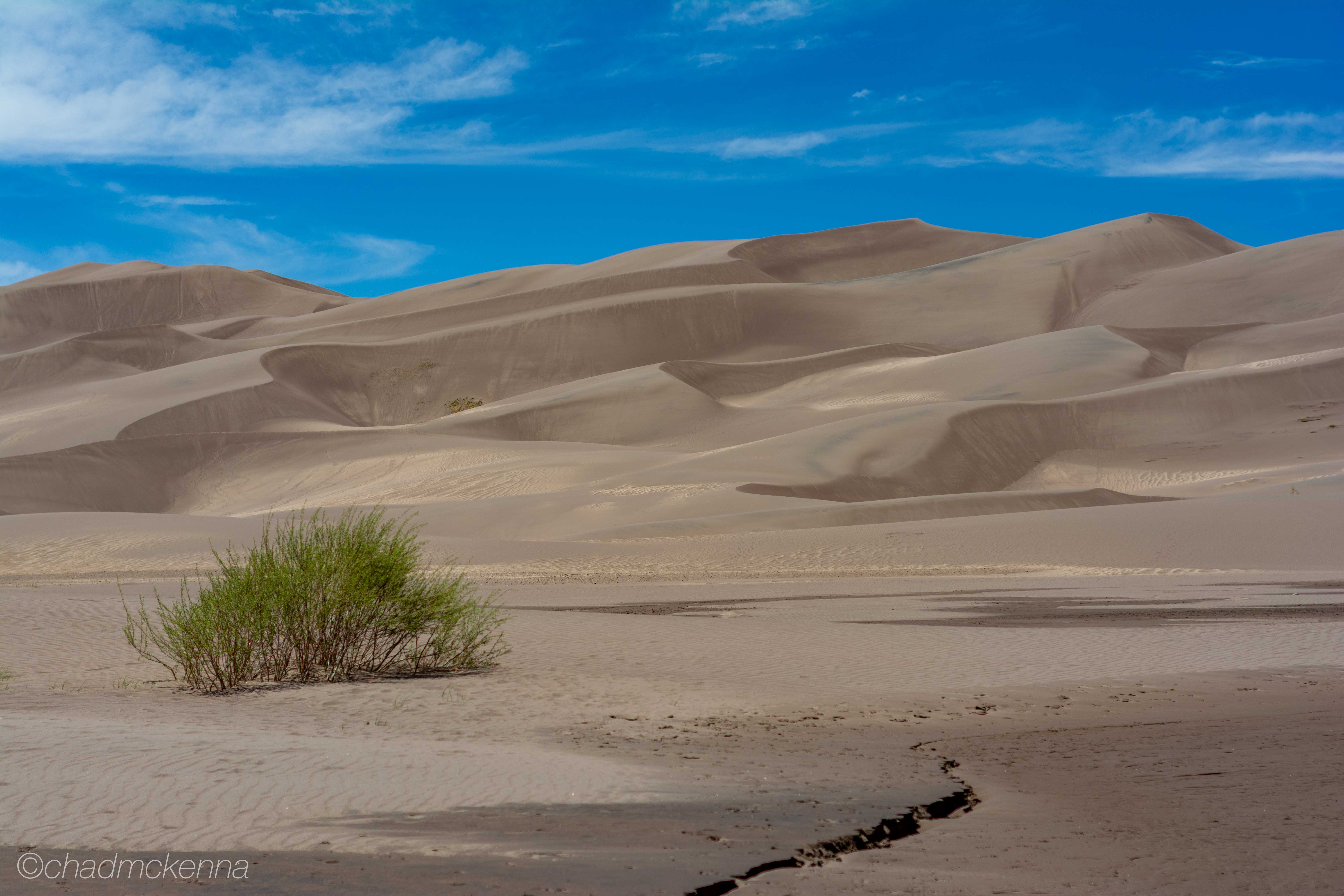 Spring Time Family Trips